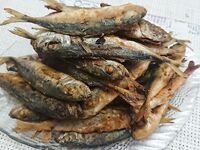 Субботний выход в море: ветер, волна, ставридка и барабулька на тягу с волнореза