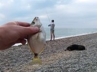 Ласкирь от Бахчисарая: место, резина и наука — общим итогом на большую коптильню