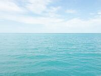 Штиль, дельфины и барабулька: морская рыбалка между ливнями у Туапсе