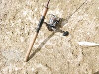 Штиль, дельфины и барабулька: морская рыбалка между ливнями у Туапсе