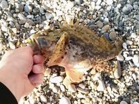 Морская рыбалка 2022: крупный ерш весь день, горбылик на ультрик и промахи по карасю