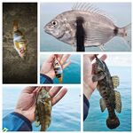 Фитопланктон замутил воду — рыбалка что попало, но кайф никто не отменял