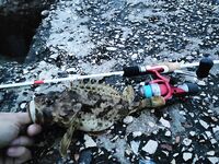 Морская рыбалка на Чёрном море: с пирса покидал, но камни слева и справа дали шанс