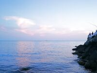 Новомихайловка: фитопланктон и прозрак 2–3 м, ласкирь с икрой — рыба как в анабиозе