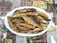 Новомихайловка: фитопланктон и прозрак 2–3 м, ласкирь с икрой — рыба как в анабиозе