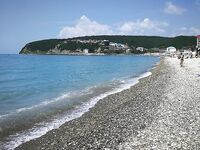 Новомихайловка: фитопланктон и прозрак 2–3 м, ласкирь с икрой — рыба как в анабиозе