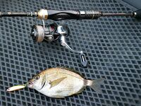 Новомихайловка: фитопланктон и прозрак 2–3 м, ласкирь с икрой — рыба как в анабиозе