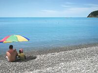 Новомихайловка: фитопланктон и прозрак 2–3 м, ласкирь с икрой — рыба как в анабиозе