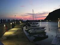 Новомихайловка: фитопланктон и прозрак 2–3 м, ласкирь с икрой — рыба как в анабиозе