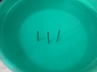 «Июнь — на рыбалку плюнь»: готовим снасти, точим крючки, ждём июля и больших рыб