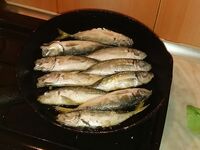 Ставрида, сарган, луфарь: чешую не чистим — потроха легко отделяются после готовки