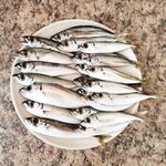 Новофёдоровка, пирс: морской дракон и ставрида, ночью — стрейч glow, к утру — самодур