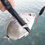 Окно с 5 до 6: колебалка 3 г и маракью сделали дело — разнорыбица в темпе