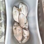 С 5 до 6 утра: карась капризничает, железо и резину отверг — взял только маракью