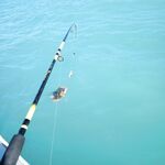 Трофей сфоткал и отпустил: без багорика и ведра рисковать лодкой не стал