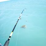 Трофей сфоткал и отпустил: без багорика и ведра рисковать лодкой не стал