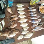 Итог выезда: техника, темп и насадки — заметки по свежему результату