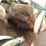 Итог выезда: техника, темп и насадки — заметки по свежему результату