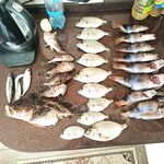 Итог выезда: техника, темп и насадки — заметки по свежему результату