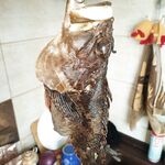 Итог выезда: техника, темп и насадки — заметки по свежему результату