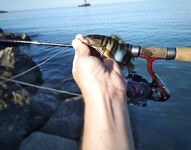 Неделя в «ГелнДЖИГе»: Голубая бухта, ловлю утром и вечером — режим найден