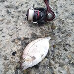 Неделя в «ГелнДЖИГе»: Голубая бухта, ловлю утром и вечером — режим найден