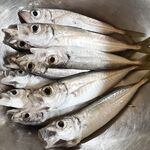 Перед рассветом с берега: 1 г и глоу — немного наковырял; на рассвете выключило