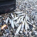 С 3:30 до рассвета: фонарь, 0.7 г и аджимастер стрейч; крупная стояла в 2 м