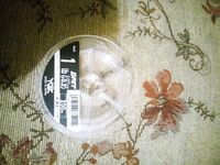 Эстер плосковат и парусит, но работает: паузы длиннее, в остальном всё отлично