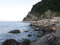 Чёрное море, Новомихайловский: отводной, балерина 10 г, Isome L и сушёный нереис