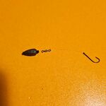 Морская рыбалка на Чёрном море: ставрида 0.6 г + силикон, барабуля 1.5 г скользящий