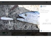 Разные месяцы и годы: рыбалка меняется, фото подтверждают