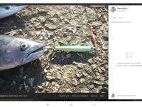 Разные месяцы и годы: рыбалка меняется, фото подтверждают