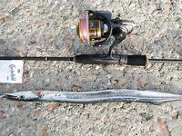 Центр сентября: рыба подтягивается по размеру, но сценарий каждый год свой