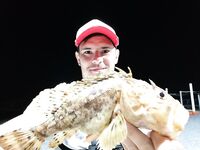 Сукко ночью: катушка нагрелась под скорпеной, капля 6 г, флюр 0,16, ISOME XL