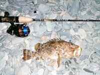 Сукко ночью: катушка нагрелась под скорпеной, капля 6 г, флюр 0,16, ISOME XL