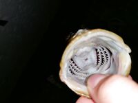 Сукко ночью: катушка нагрелась под скорпеной, капля 6 г, флюр 0,16, ISOME XL