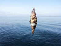 Анапа, 5:45–8:00: красная Маракуйя и чебурашка 1 г — карась, окунь, пара луфариков