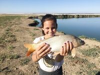 Беляус и Громово с палатками: два нулевых морских выезда и отдушина на карповом пруду