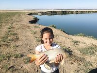 Беляус и Громово с палатками: два нулевых морских выезда и отдушина на карповом пруду