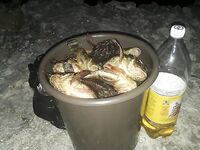 Шпора и буна: где ловить ерша у треугольного скола и как работать насадками