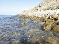 Орджоникидзе, Агатовый пляж: мелководье с валунами, вопрос по вечерним выходам