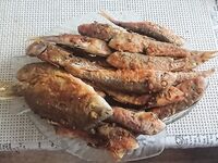 Отводной спас утро: два горбылька отпущены, звёздочёт, карасики и барабулька