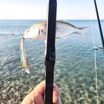 Смешная пауза в теме: «детский сад» и снова строим снасть по делу