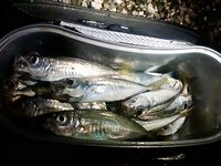 Интернет слабый — фото позже, отмечаюсь коротко и вернусь с иллюстрациями