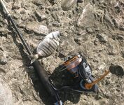 Адлер на рассвете: железо молчало, микроджиг оживил, отводной закрыл барабулей