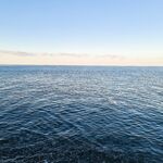 Перед рассветом 3:00-4:30: 1.5 г плюс силикон ловили, вода остыла — рыба оживает