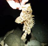 Имеретинка, боковой ветер и смена приманок: карася не нашёл, ушёл в скорпену