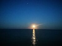 Рассветная буну-сессия: пилькеры без отклика, отводной с червём дал частые поклёвки