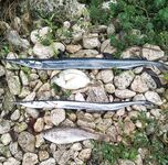 Дождь, гром и «Трафик» у воды: десять забросов из салона, трофей сарган 50 см